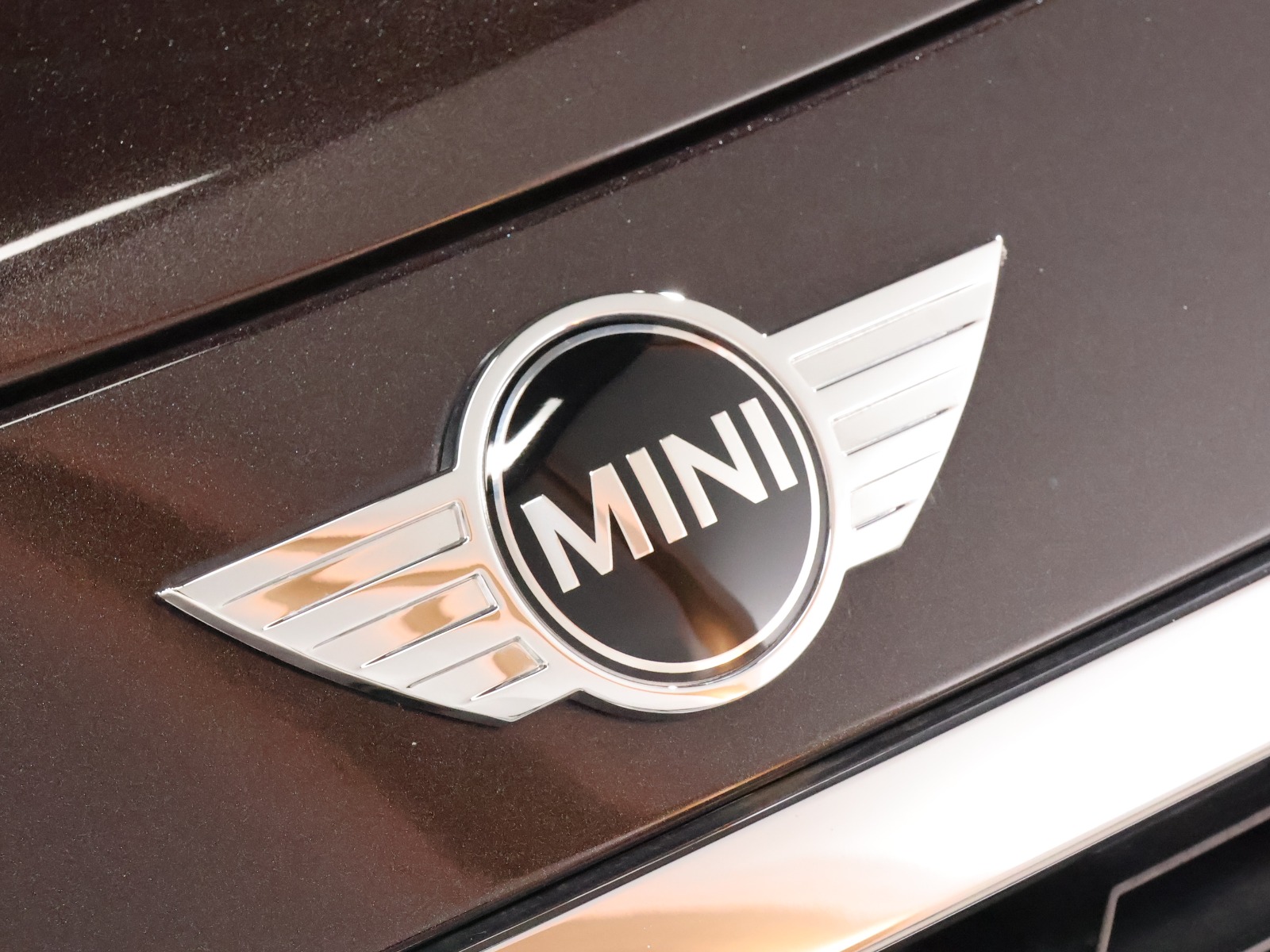 ミニコンバーチブル クーパーS HIGHGATE | BMW | MINI（ミニ）の中古車 